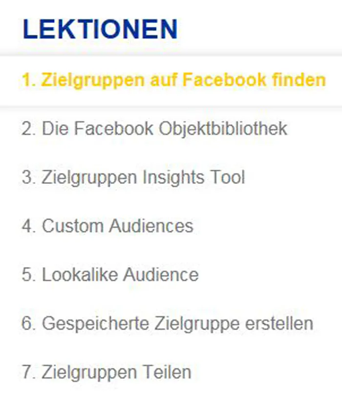 Lektionsliste von Modul 4 der Wunschkunden Formel, unter anderem Custom Audiences und Lookalike Audience