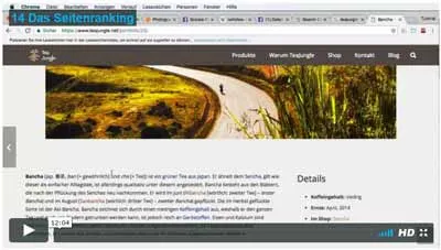 Video zum Seitenranking aus dem Kurs SEO mit WordPress der Websitepiloten