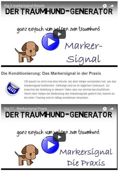 Videos zum Markersignal und Markersignal in der Praxis aus Modul 1 des Traumhund Generator