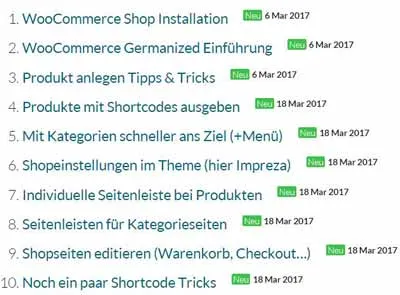 Lektionsliste zu WooCommerce im Website SEO Kurs der Websitepiloten