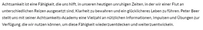Kundenstimme von Wolfgang K. über Achtsamkeit und die Impulse von Peter Beer