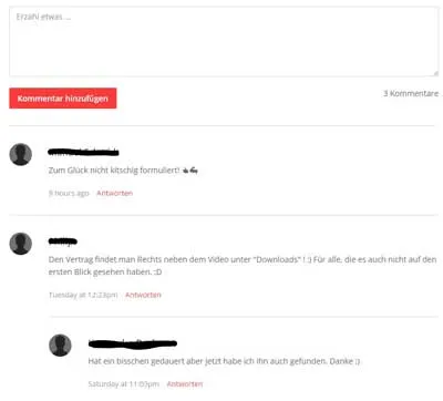 Kommentarbereich unter einem Video im Social Mastery Kurs mit Antworten von Teilnehmern