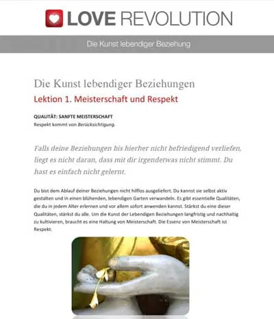 Worksheet aus Love Revolution zu Lektion 1 Meisterschaft und Respekt