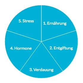 Kreisdiagramm mit den 5 Modulen von Endlich frei von Akne: Ernährung, Entgiftung, Verdauung, Hormone und Stress