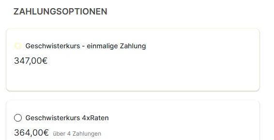 Zahlungsoptionen im Bestellformular von Der große Geschwisterkurs mit Einmalzahlung und Ratenzahlung