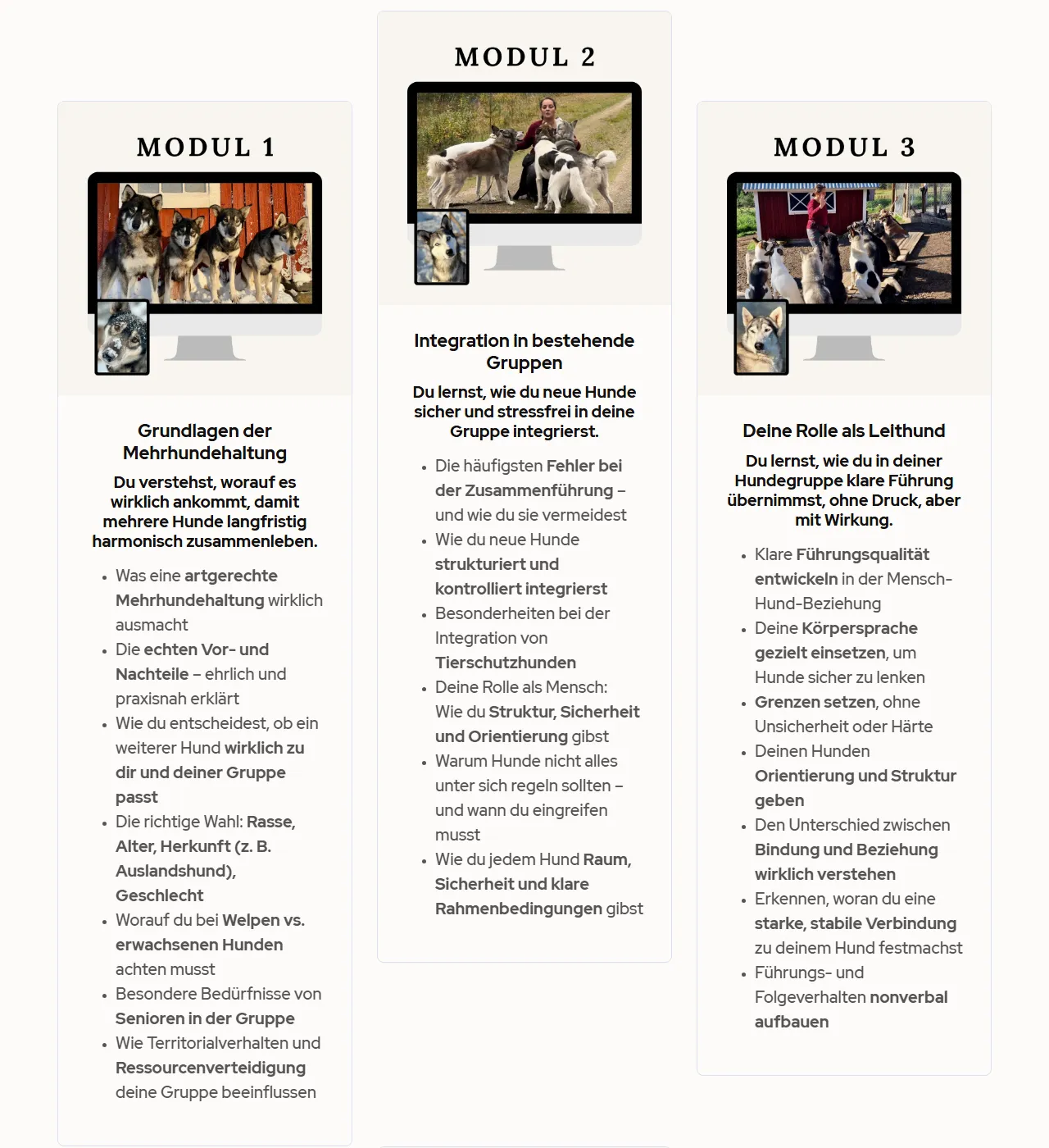 Übersicht der Module 1 bis 3 von Mehrere Hunde, ein Team mit Grundlagen der Mehrhundehaltung, Integration in bestehende Gruppen und Deine Rolle als Leithund