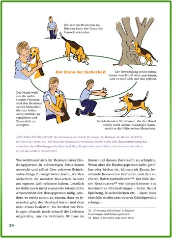 Leseprobe aus Die sichere Bindung als beste Erziehung: Buchseite mit Illustration zum Kreis der Sicherheit