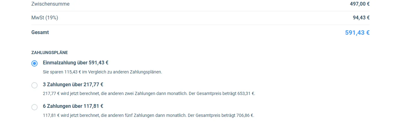Zahlungspläne im Bestellformular des Moneyflow Income System mit Einmalzahlung über 591,43 Euro sowie drei und sechs Raten