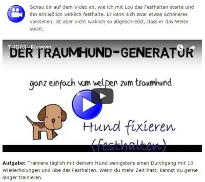 Video Hund fixieren mit Trainingsaufgabe aus dem Online Hundekurs Traumhund Generator