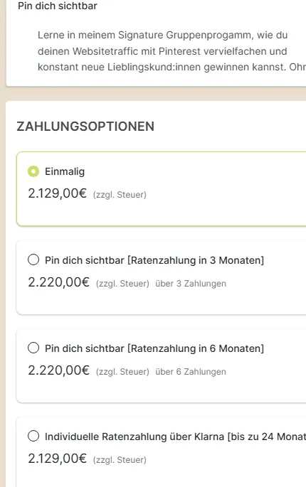 Zahlungsoptionen von Pin dich sichtbar auf der Bestellseite mit Einmalzahlung, zwei Ratenplänen und Klarna, jeweils netto