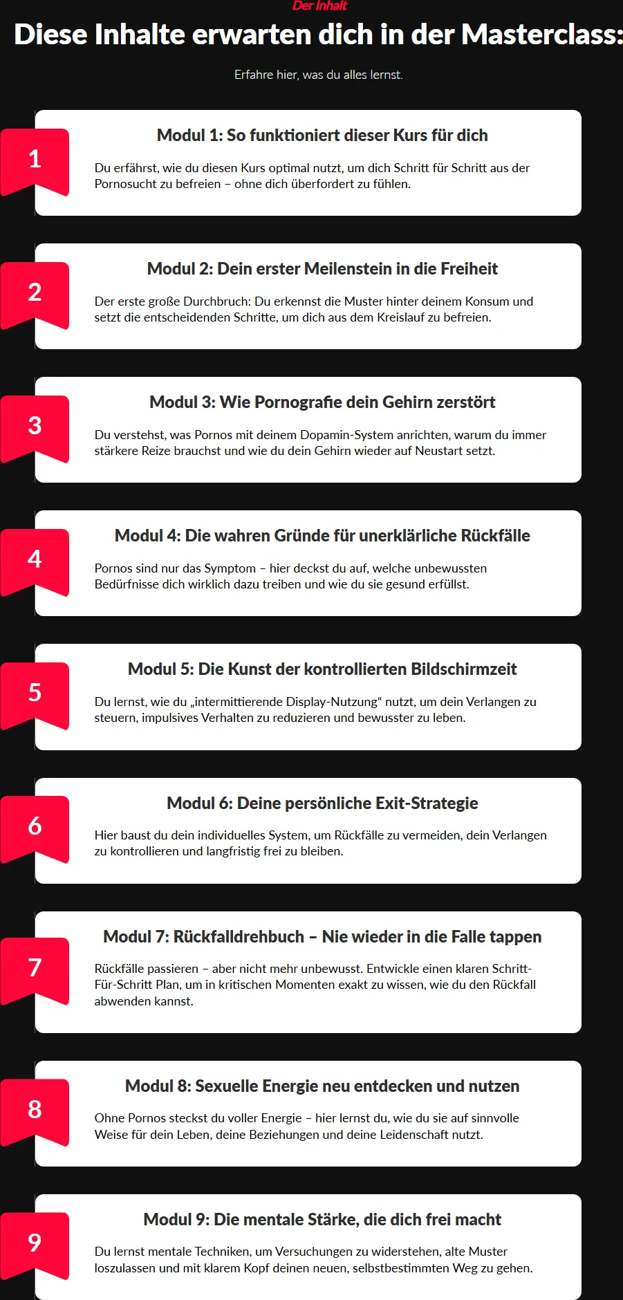 Modulübersicht der Pornexit Masterclass mit den Modulen 1 bis 9 und kurzen Beschreibungen