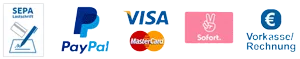 Zahlungsarten für den Kurs Schmerzfreier Rücken: SEPA-Lastschrift, PayPal, Visa, Mastercard, Sofort und Vorkasse