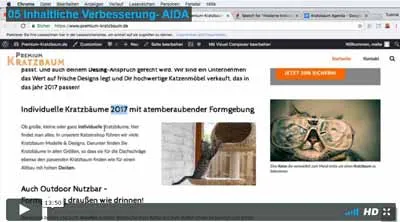 Video zur inhaltlichen Verbesserung mit AIDA im SEO Kurs Websitepiloten
