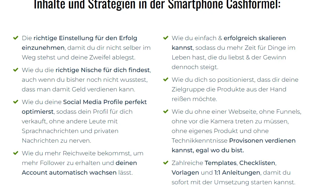 Inhaltsliste der Kursseite mit Punkten zu Nische, Social-Media-Profil, Reichweite, Skalierung, Positionierung und Provisionen ohne Webseite
