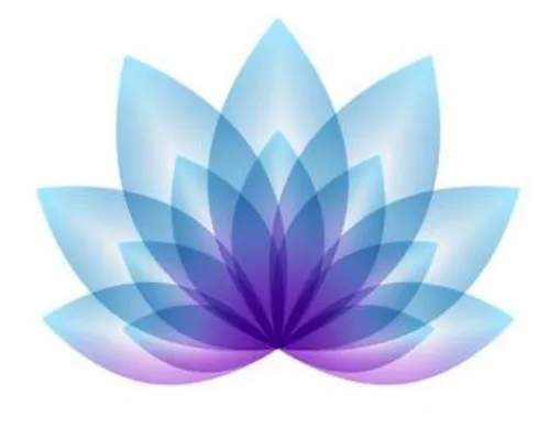 Blau-violette Lotusblüte als Symbol für die Bonus-Coachings und die Masterclass von Thomas Young