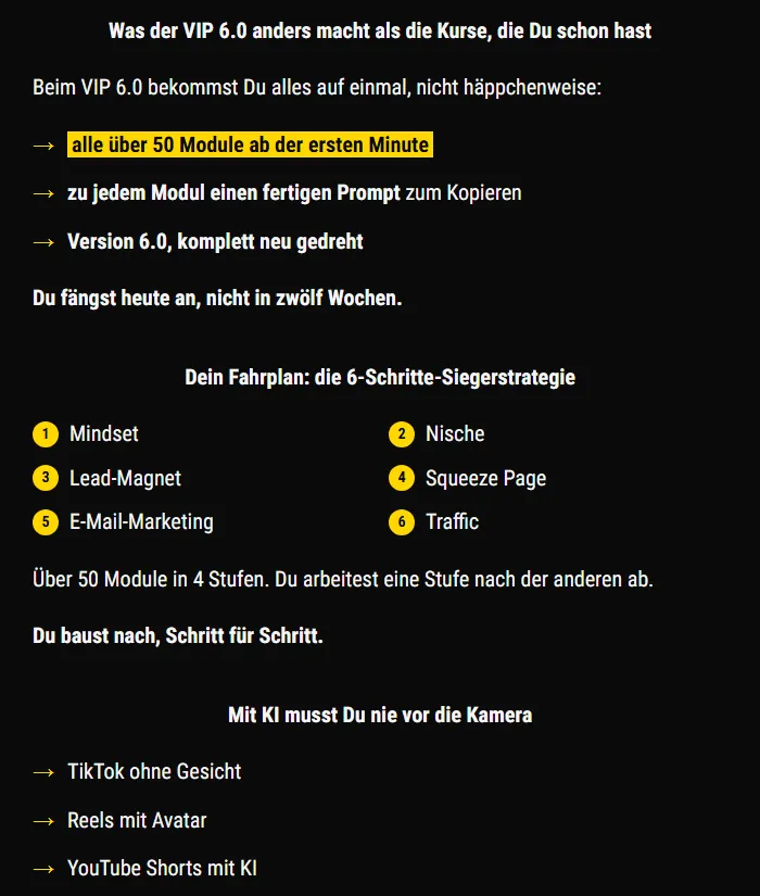 Abschnitt der Kursseite mit dem Fahrplan der 6-Schritte-Siegerstrategie und den Faceless-Strategien